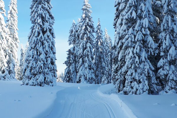 A tous les fans de ski de fond et de photographie